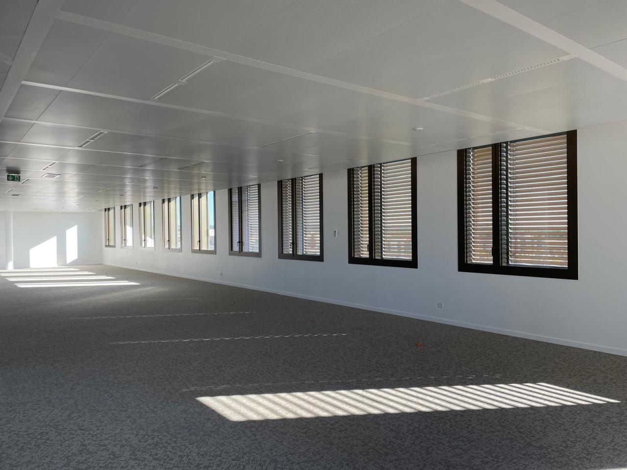 Bureau Villeurbanne 2061m² Location bureau Villeurbanne Rhône OLBUR2313729 17